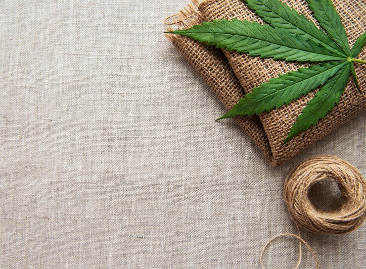 Hemp: A Sustainable Solution for Mitigating Ocean Microplastic Pollution
